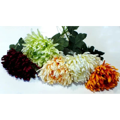 ADAM-CHRYZANTEMA AD091