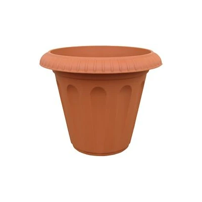 DONICZKA PANAMA 5         21CM