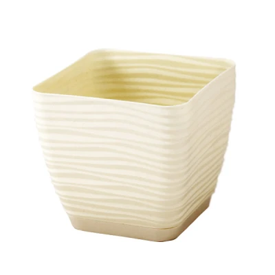 DONICZKA SAHARA KWADRAT PETIT Z/P *17* KREM