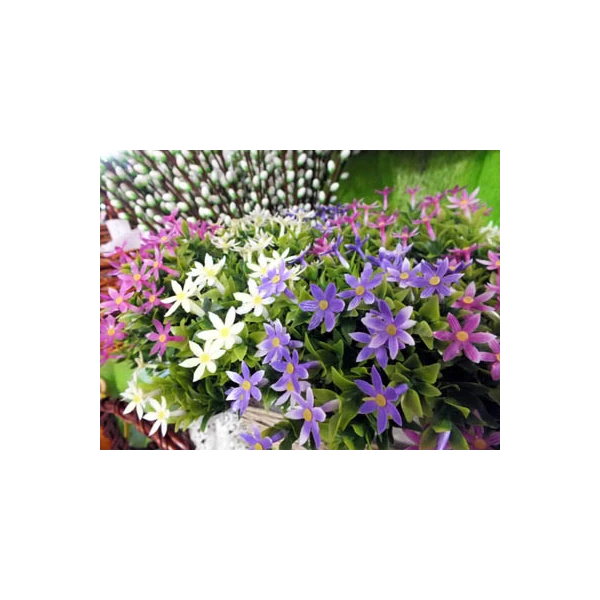 AD-GALĄZKA  KOLOR /6/