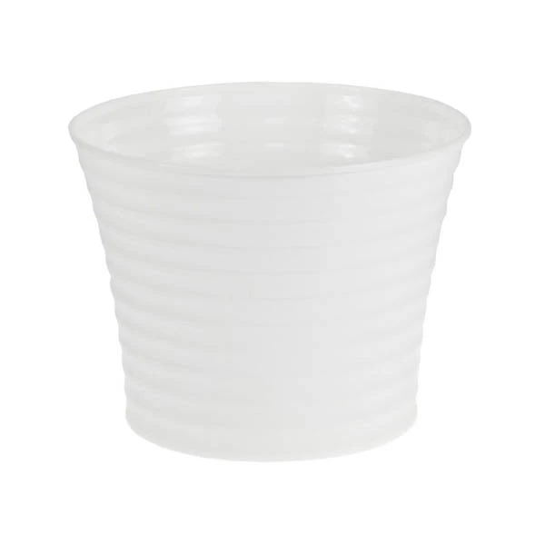 DONICZKA *BRATEK* 12CM BIAŁY