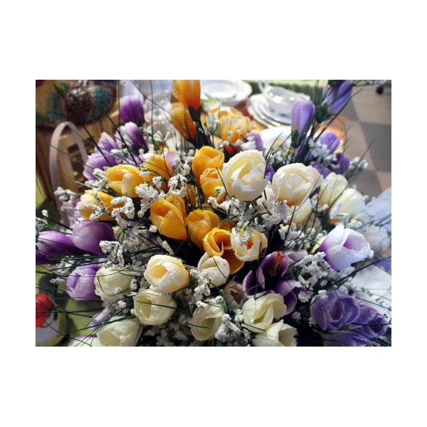 G133-KROKUS Z TRAWĄ /1/