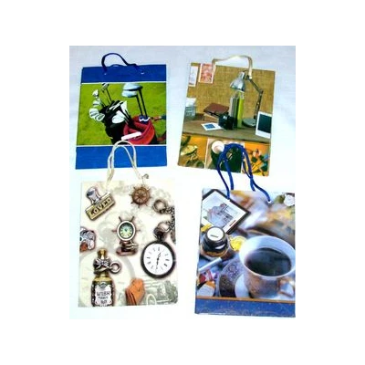 GAJO-TORBA PAPIER.*4717* 0237