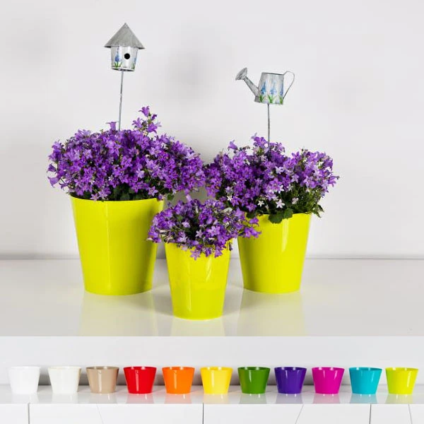 KW-DONICZKA SIMPLE 8CM