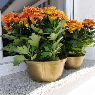 KW-MISKA *ANITA* 26CM