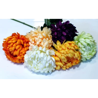 ADAM-CHRYZANTEMA AGT056