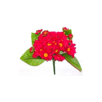 AD-BUKIET MARGERYTKI HC002861R