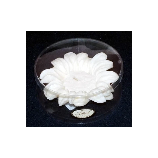 ADPAL-ŚWIECA SŁONECZNIK DUŻY (TUBUS) ECRU