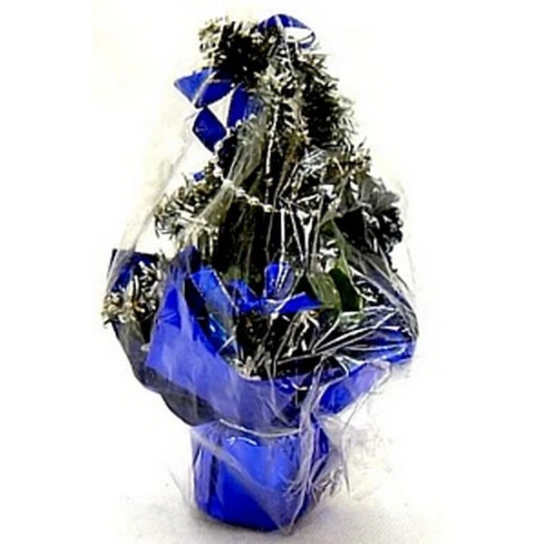 CER-CHOINKA MAŁA CS05407