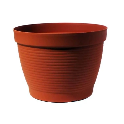 DONICZKA *AGAWA*  5   22CM