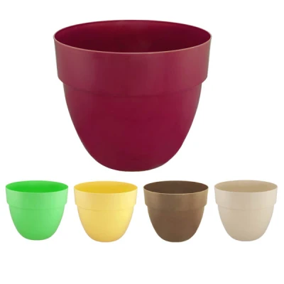 DONICZKA *ORCHIDEA NOWA* 4  25CM