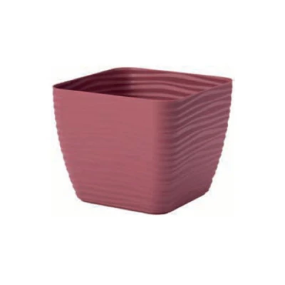 DONICZKA SAHARA KWADRAT PETIT Z/P *17* MARSALA