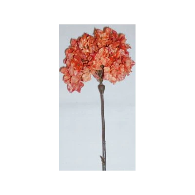 EUR-KWIAT HORTENSJA/1/POMARAŃC