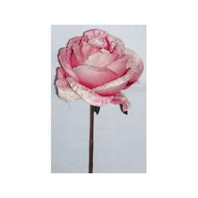 EUR-KWIAT RÓŻA/1/RÓŻ