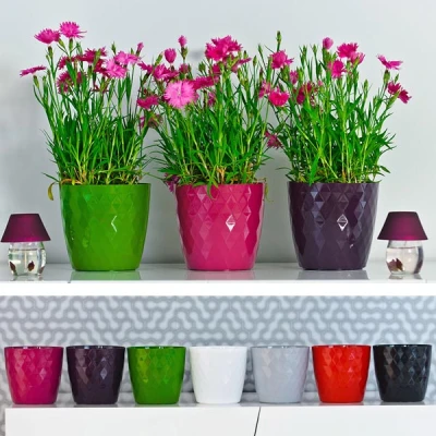 KW-DONICZKA *CRISTAL* 16