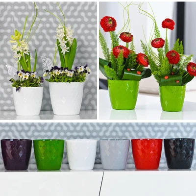 KW-DONICZKA *CRISTAL* 18