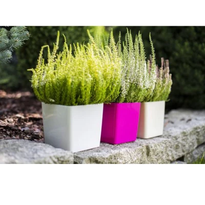 KW-DONICZKA *KWADRAT 15 PP*