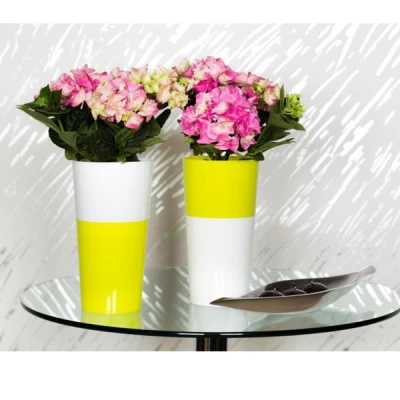 KW-DONICZKA DOUBLE 11,5