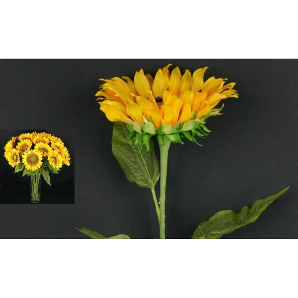 L112-SŁONECZNIK /1/