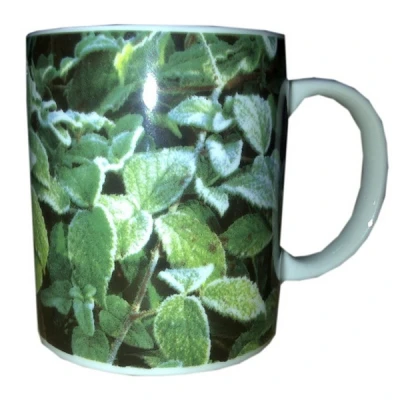 LUBIANA-KUBEK 30 MIĘTA 5177C