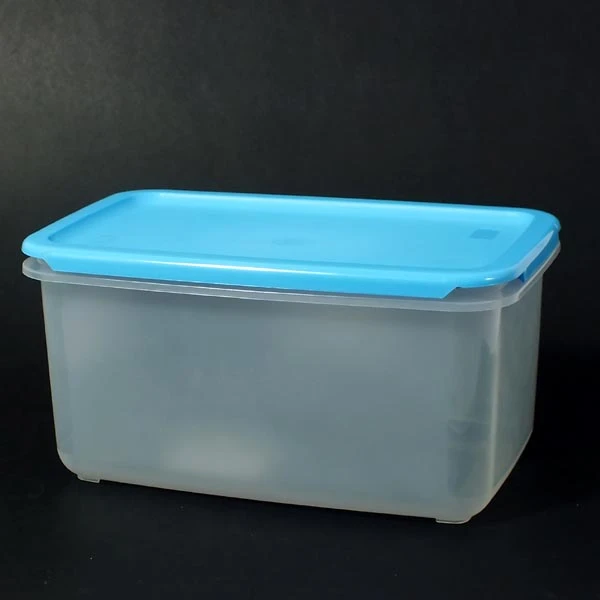 OKT-POJ.*STANDARD/FRIGO BOX PROSTOKĄTNY 4,8L W4551