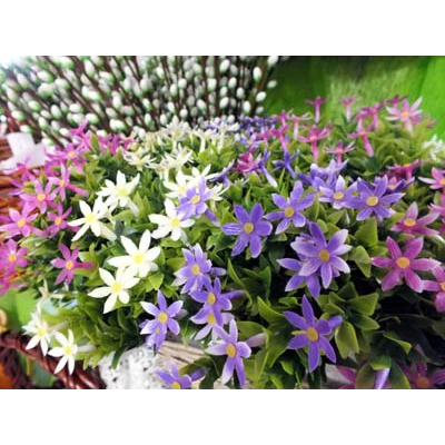 AD-GALĄZKA  KOLOR /6/