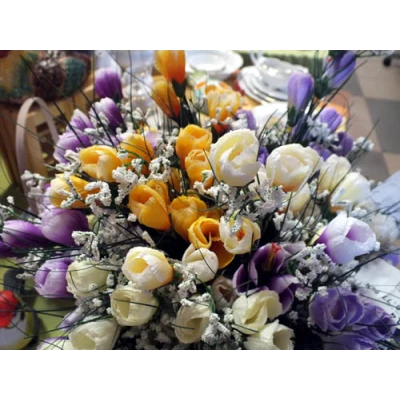 G133-KROKUS Z TRAWĄ /1/