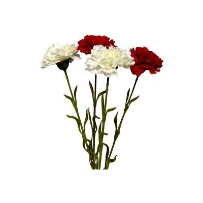 AD-GOáDZIK GT0203915