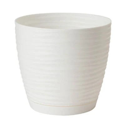 DONICZKA SAHARA PETIT Z/P *11* BIAŁA