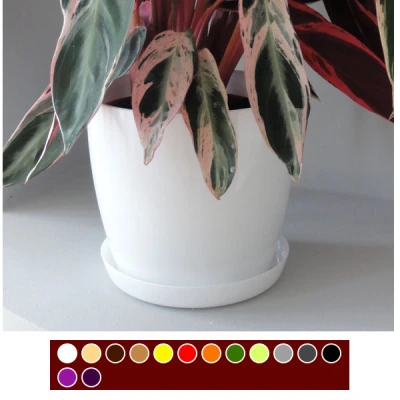 PODSTAWKA 20 K-W *AGA*