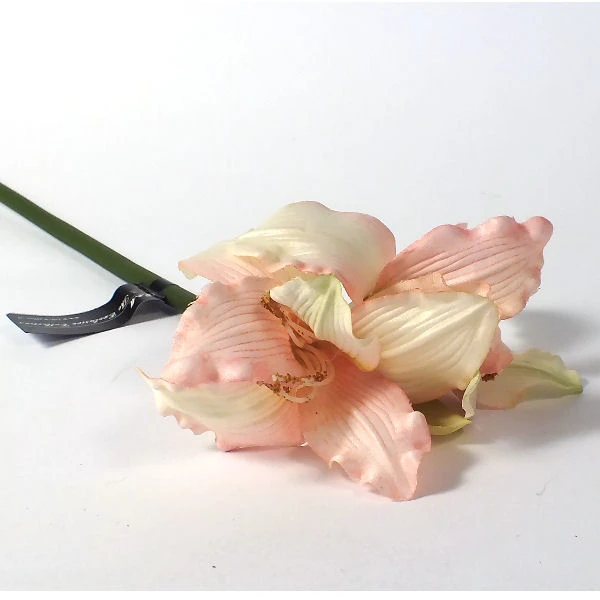 WAR-AMARYLLIS 46CM RÓŻ RM0886