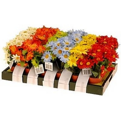 NL-KWIATEK W DONICZCE