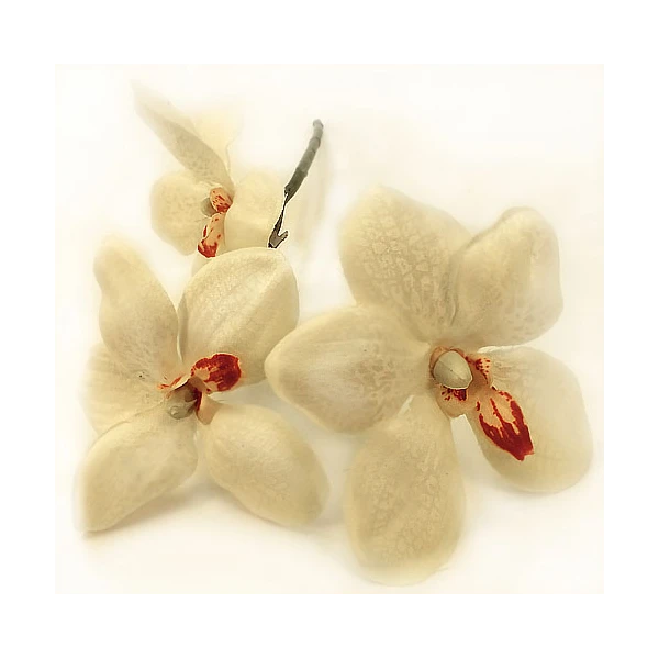 WAR-VANDA 38CM KREM RM0902