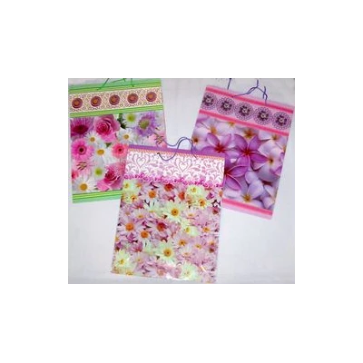 GAJO-TORBA PAPIER.*5774* 0253