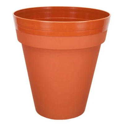 PALMÓWKA IRYS *4* 21CM