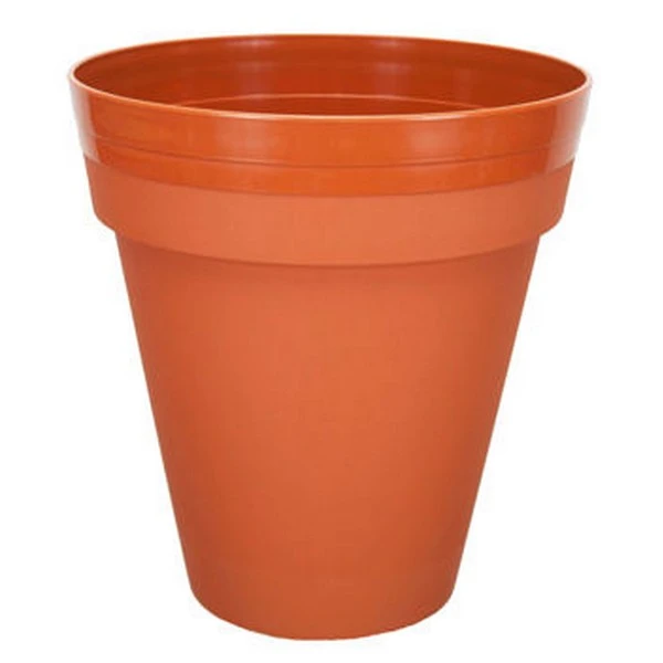 PALMÓWKA IRYS *4* 21CM