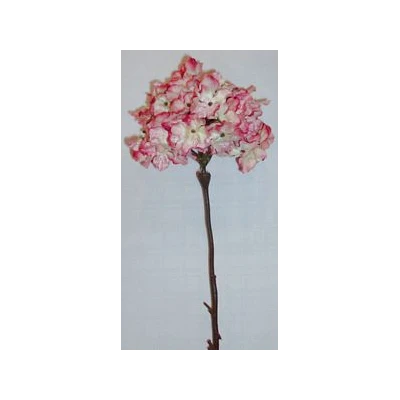 EUR-KWIAT HORTENSJA/1/RÓŻ