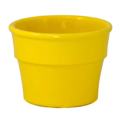 OSŁ.PRYMULA 408 12CM *ŻÓŁTA*