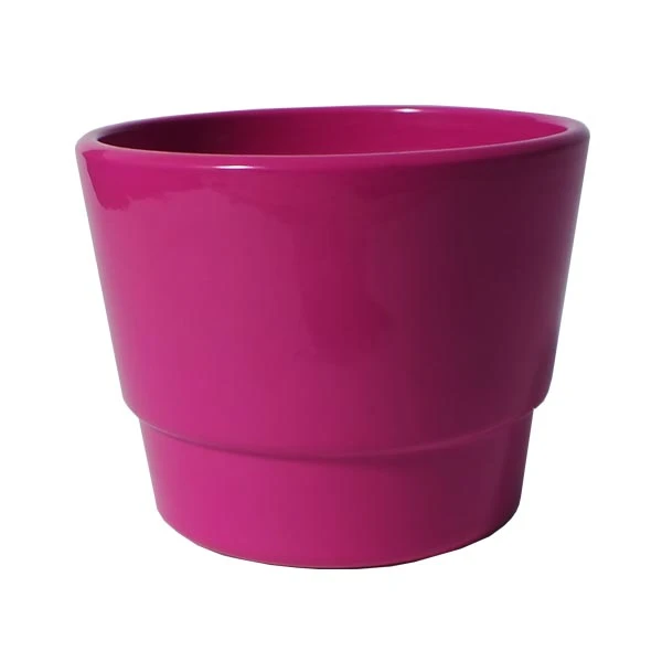 OSŁ.PRYMULA 501 12CM *RÓŻ*