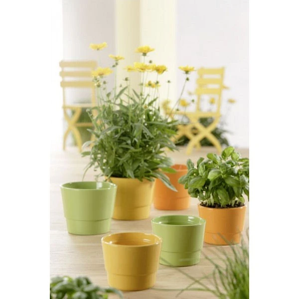 OSŁ.PRYMULA 501 14CM*POMARAŃCZ