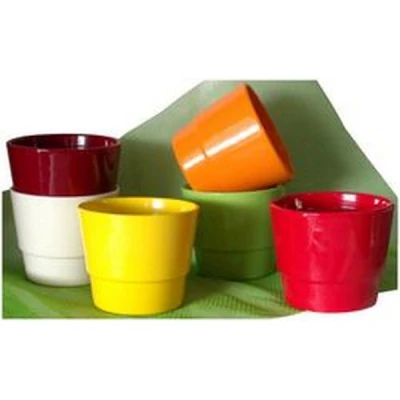 OSŁ.PRYMULA 501 16CM*POMARAŃCZ