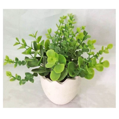 TOM-ROŚLINA W DONICZCE 16CM RD15