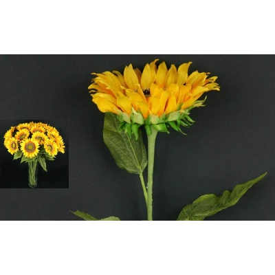 L112-SŁONECZNIK /1/