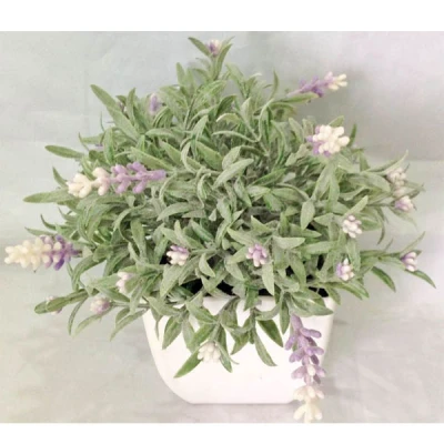 TOM-ROŚLINA W DONICZCE 20CM RD12