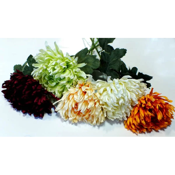 ADAM-CHRYZANTEMA AD091