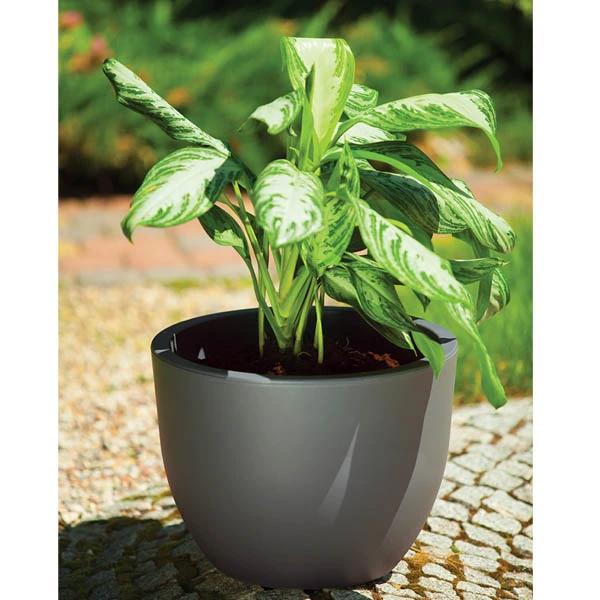 DONICA MUNA 30 OKRĄGŁA ANTRACYT +OBRĘCZ h24 fi30