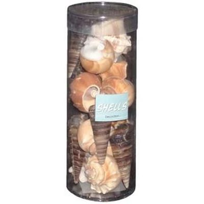 NL-TUBA MUSZLI DEKOR.D22000290