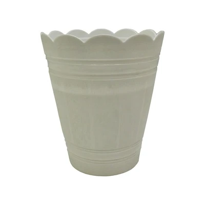 PALMÓWKA BIAŁA *3*        26CM