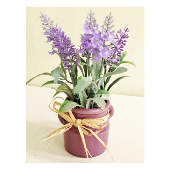 TOM-ROŚLINA W DONICZCE 21CM RD07