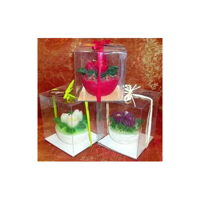 CAND-ŚWIECA DON.TULIPAN ŚREDNI